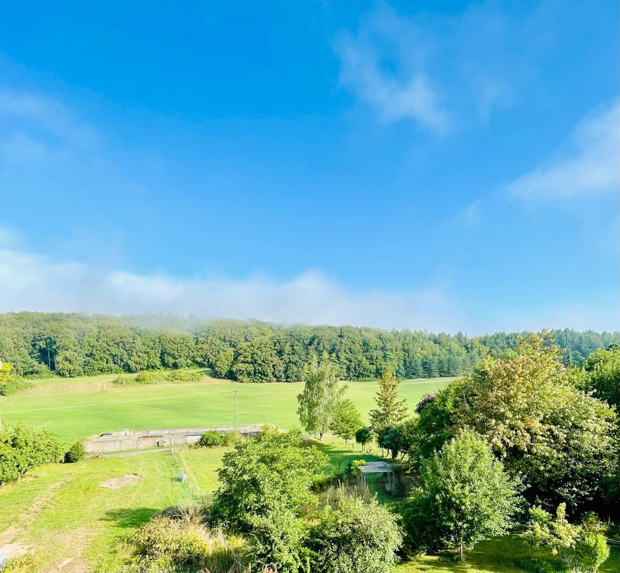 Eifelsuiten - Mit Sauna, Kamin Und Balkon In Der Vulkaneifel - Kerpen Loogh Apartment *